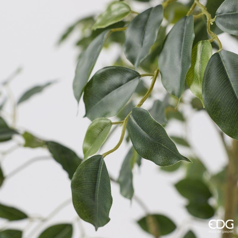 edg enzo de gasperi edg enzo de gasperi pianta artificiale ficus beniamino vogue con vaso h 240 cm pianta decorativa realistica design moderno ean 8059824655042