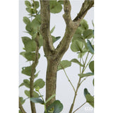 edg enzo de gasperi edg enzo de gasperi eucalipto con vaso h 210 cm pianta artificiale verde ean 8059824607461