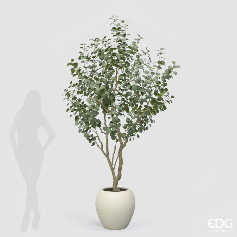 edg enzo de gasperi edg enzo de gasperi eucalipto con vaso h 244 cm pianta artificiale verde ean 8059824607287