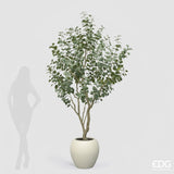 edg enzo de gasperi edg enzo de gasperi eucalipto con vaso h 244 cm pianta artificiale verde ean 8059824607287