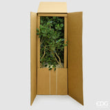 edg enzo de gasperi edg enzo de gasperi ficus beniamino vogue con vaso pianta artificiale h 240 cm verde ean 8059824607324