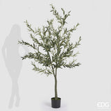 edg enzo de gasperi edg enzo de gasperi olivo con vaso h 190 cm pianta artificiale verde ean 8059824378644