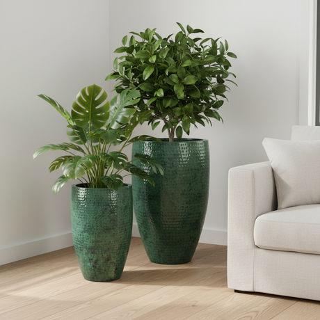 Nirad Verde – Living botanico