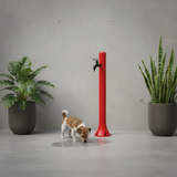 Scena 3 – Cortile condominiale area cani
