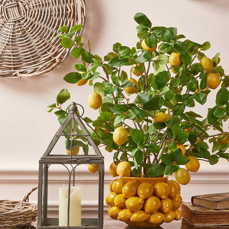 EDG Enzo De Gasperi Vaso Chakra Limoni H 19 Cm D 28 Cm 36 Frutti Giallo