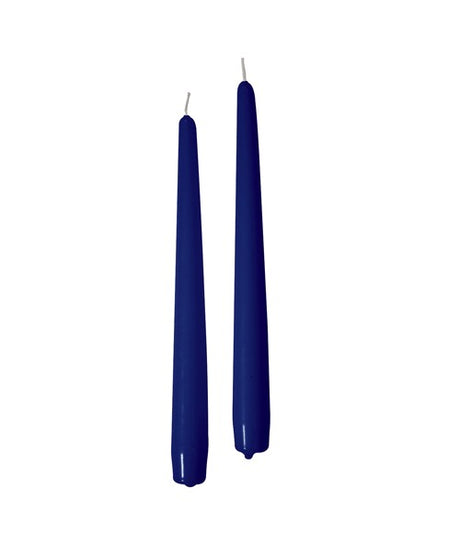 immagine-1-cereria-di-giorgio-cereria-di-giorgio-candele-coniche-22-cm-h-25-cm-10-pz-blu-navy-ean-8006545170798