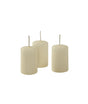 immagine-1-cereria-di-giorgio-cereria-di-giorgio-ceri-4-cm-h-7-cm-12-pz-avorio-ean-8006545050953
