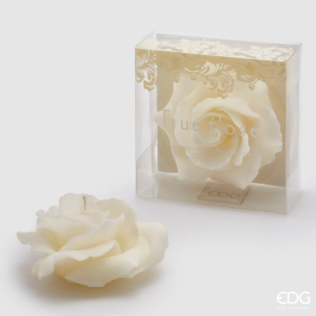 immagine-1-edg-enzo-de-gasperi-candela-rosa-gall-d11-no-perlata-8-ivory