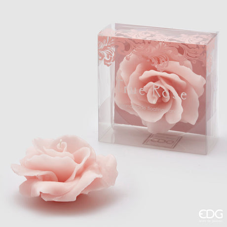 immagine-1-edg-enzo-de-gasperi-candela-rosa-gall-d11-no-perlata-8-pale-pink