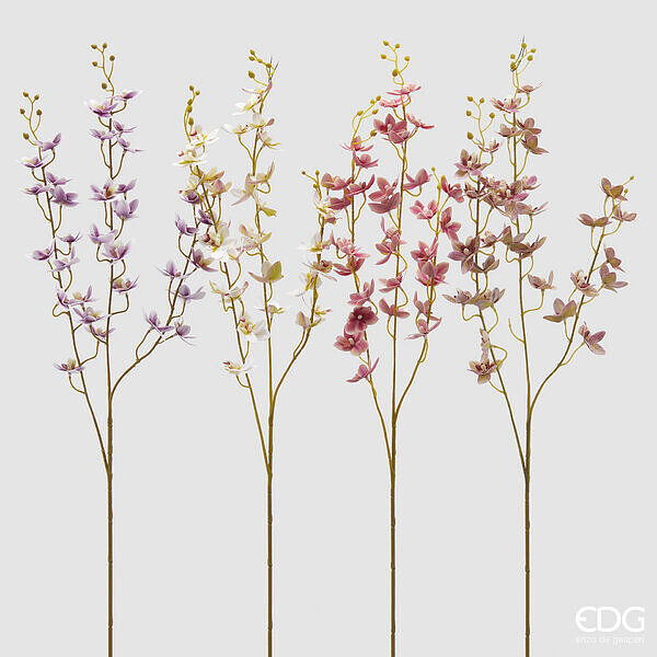 immagine-1-edg-enzo-de-gasperi-orchidea-oncidium-mini-ramo-x3-4-ass-h-90-c4