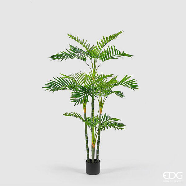 immagine-1-edg-enzo-de-gasperi-palma-areca-cvaso-pvc-h147-24fg-b9-green