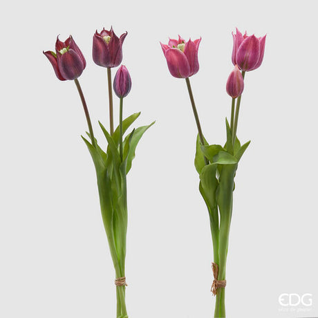 immagine-1-edg-enzo-de-gasperi-tulipano-gomma-olis-aperto-3pz-h48-c4-mauve