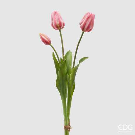 immagine-1-edg-enzo-de-gasperi-tulipano-gomma-olis-chiuso-5pz-h40-c4-pink-cream
