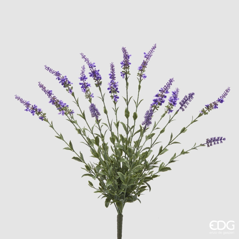 immagine-1-edg-s-r-l-cespuglio-salvia-h-60-colore-lavanda-ean-8059824358165